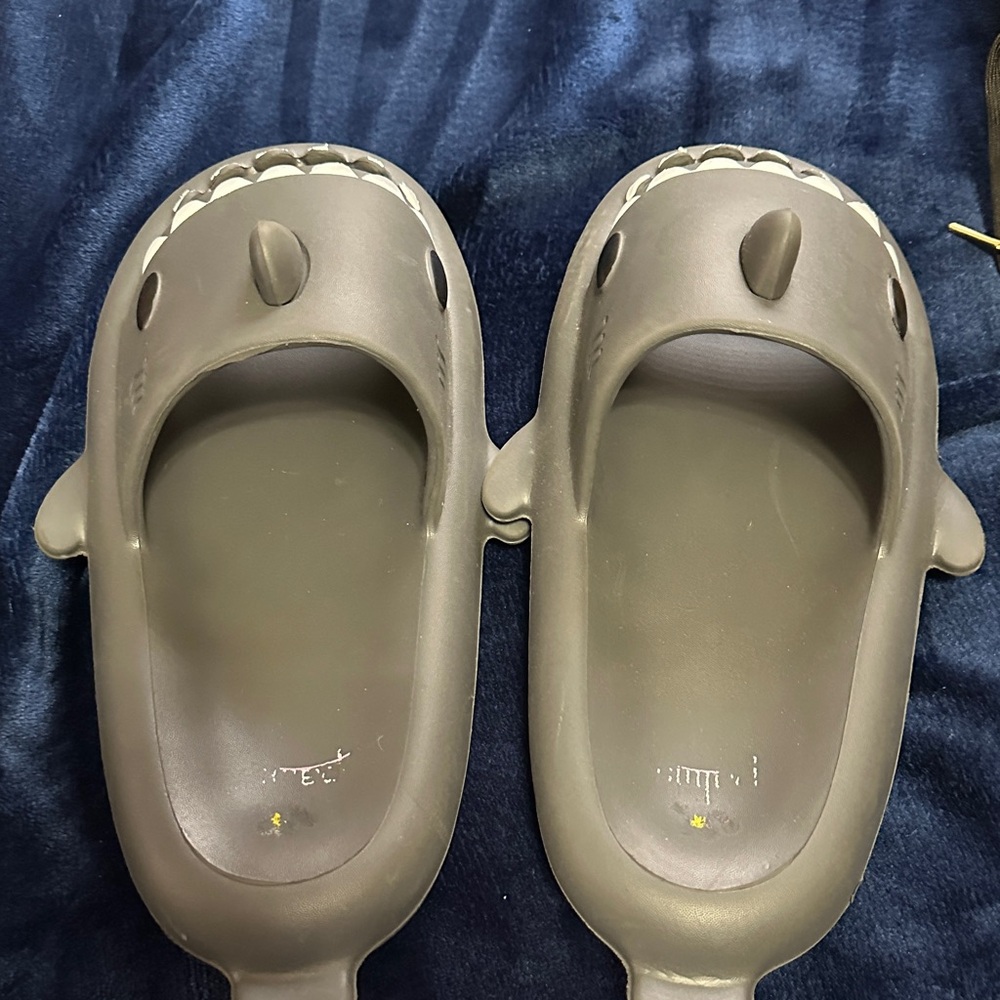 Shark Slip-On Slides in Dark Gray